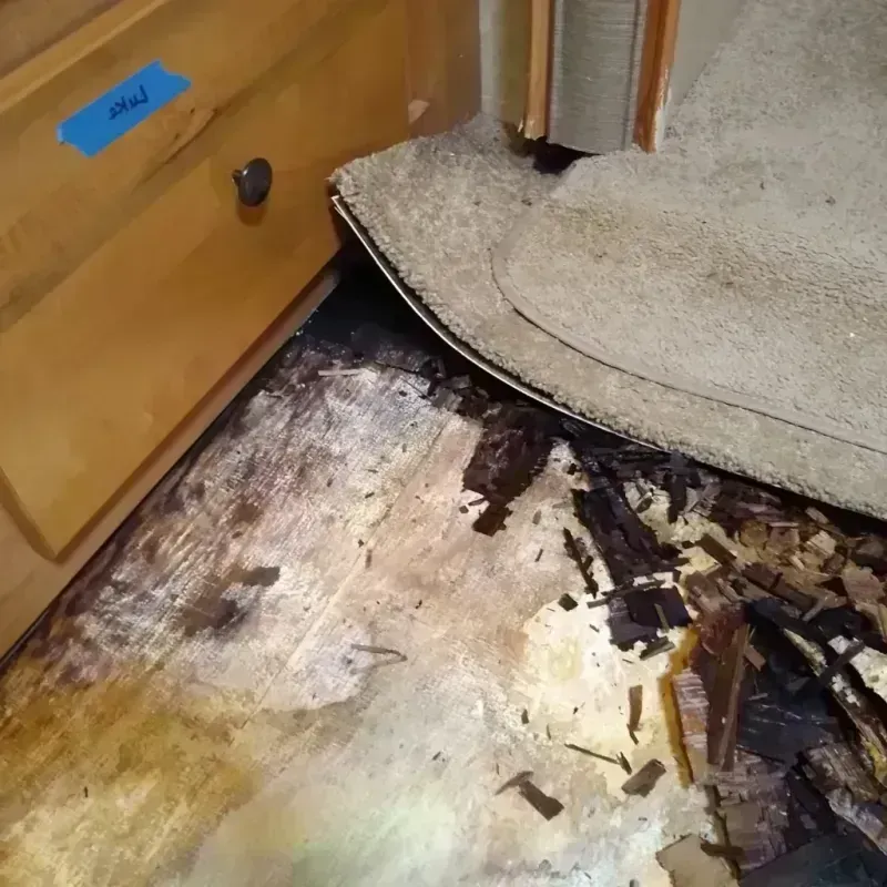 Wood Floor Water Damage in Hayden, AL